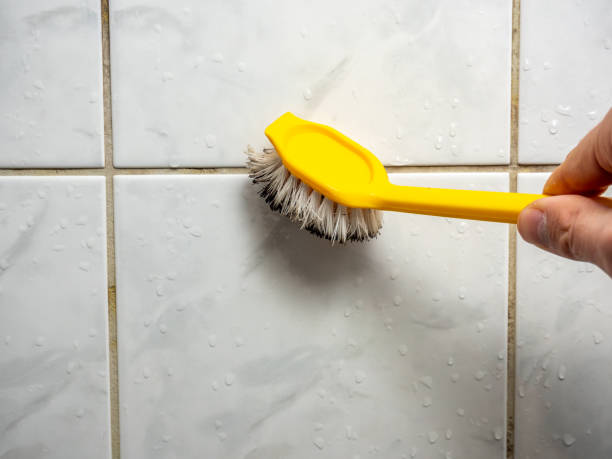 Best Local Mold Removal Service  in Bon Secour, AL
