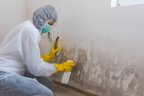 Best Emergency Mold Removal  in Bon Secour, AL