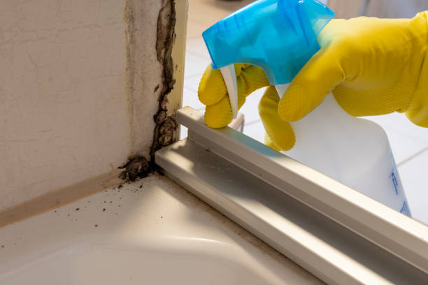 Best Mold Testing  in Bon Secour, AL
