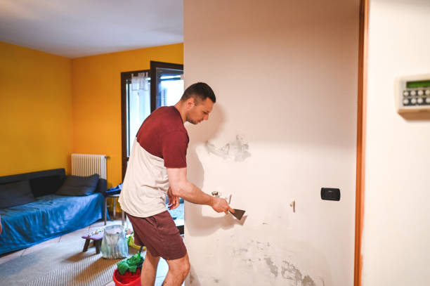 Best Certified Mold Removal  in Bon Secour, AL